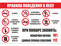 ⚡ Правила поведения в лесу 90*60 (60*40) см. ⚡ Цена: 3000 (1500) руб