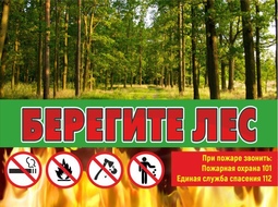 ⚡ Табличка Берегите лес. ⚡ 40*30 см.
